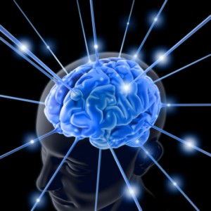 brain supplements